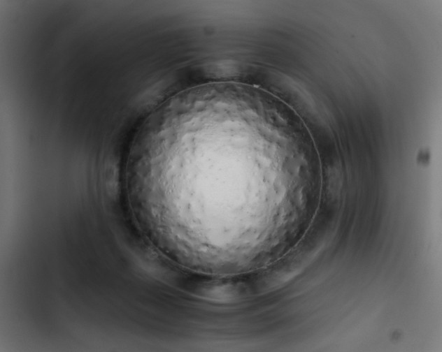 X0000103500267200809121747