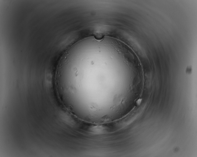 X0000103500269200809121747