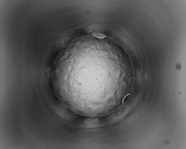 X0000103500271200809121747