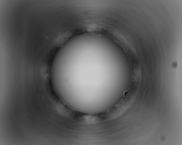 X0000103500272200809121747