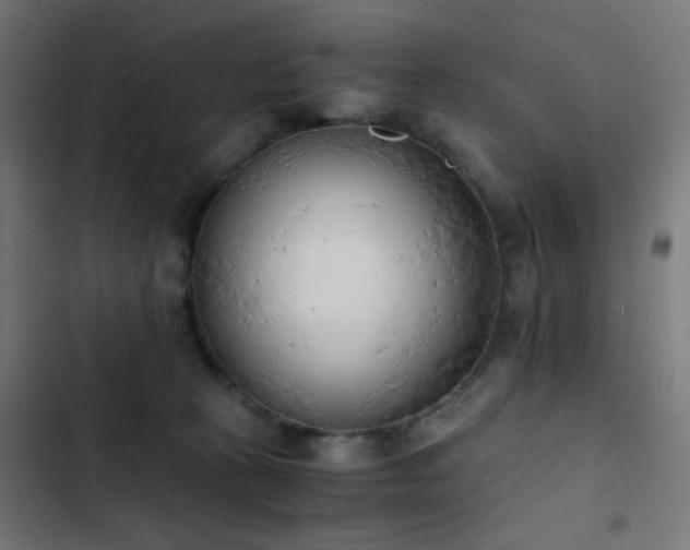 X0000103500273200809121747