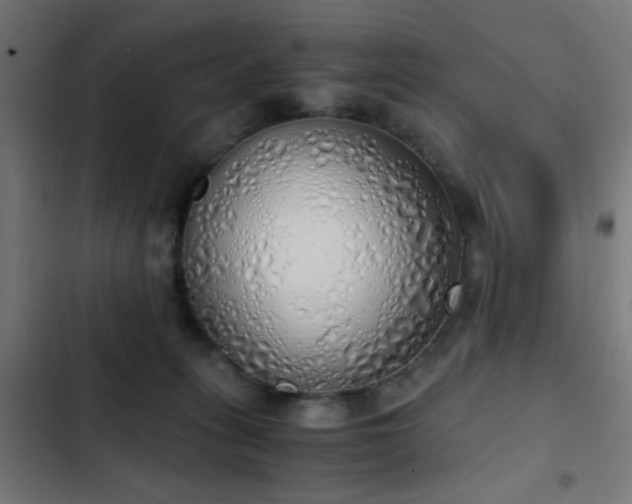 X0000103500275200809121747