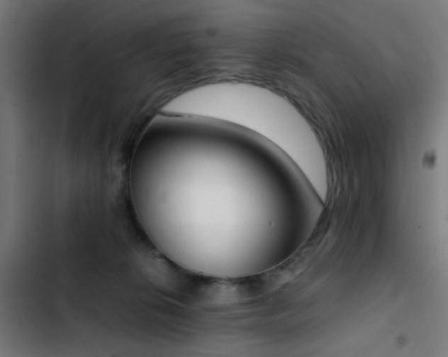 X0000103500276200809121747