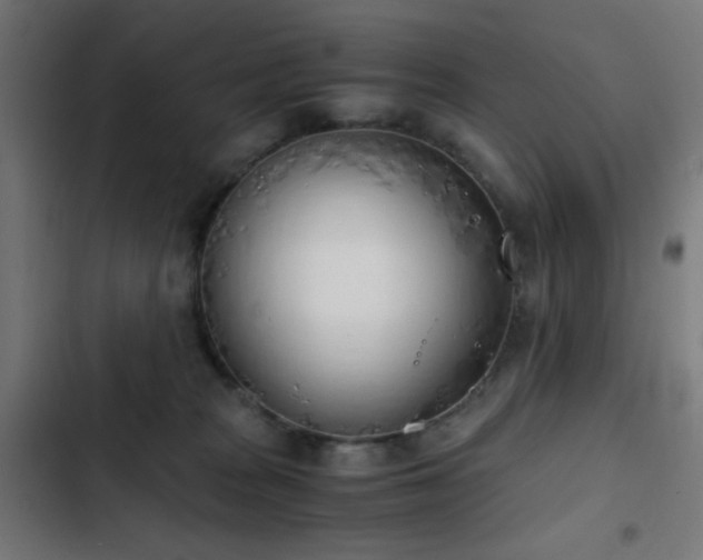 X0000103500277200809121747