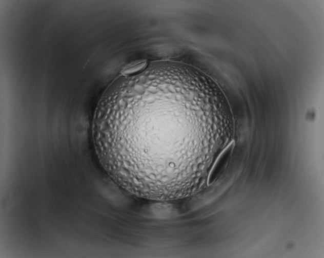 X0000103500279200809121747