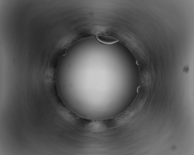 X0000103500280200809121747