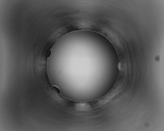 X0000103500281200809121747