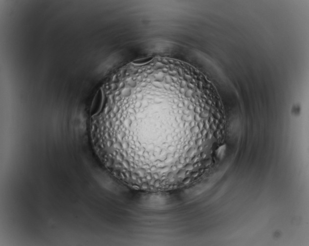 X0000103500282200809121747