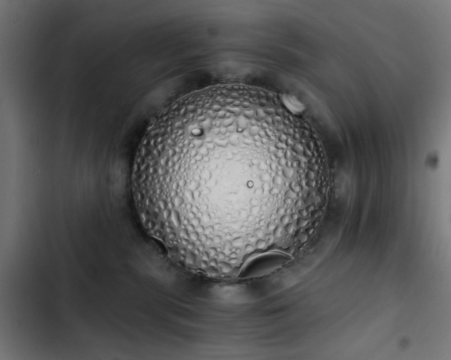 X0000103500283200809121747