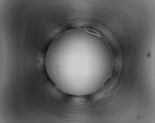 X0000103500284200809121747