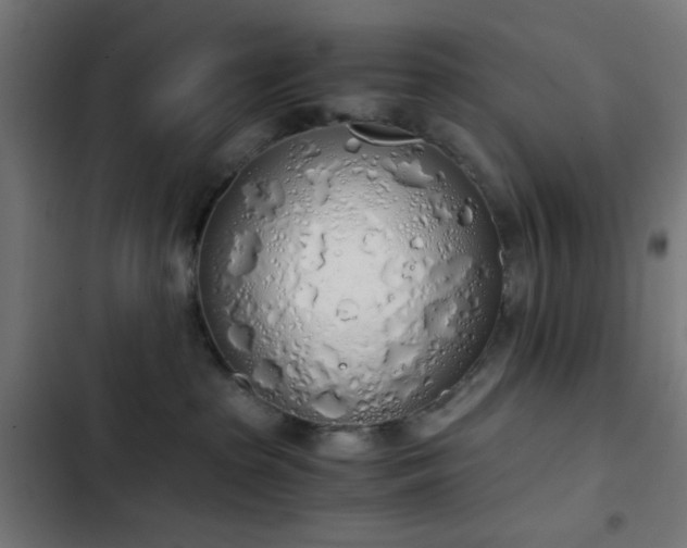 X0000103500285200809121747