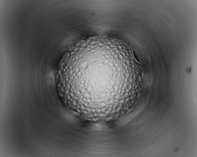 X0000103500286200809121747