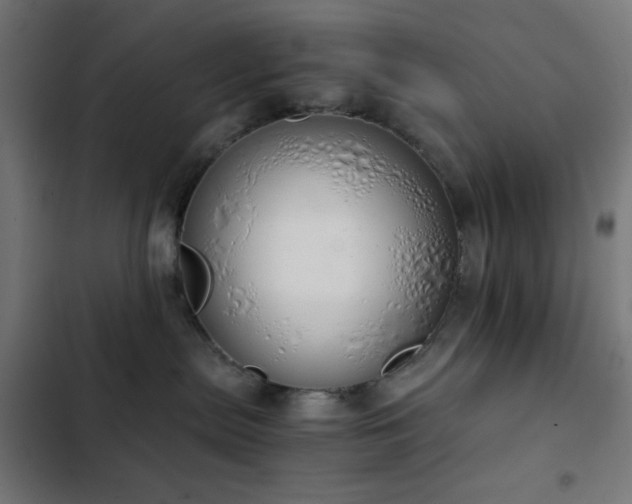 X0000103500287200809121747