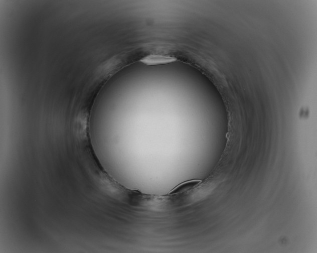 X0000103500288200809121747