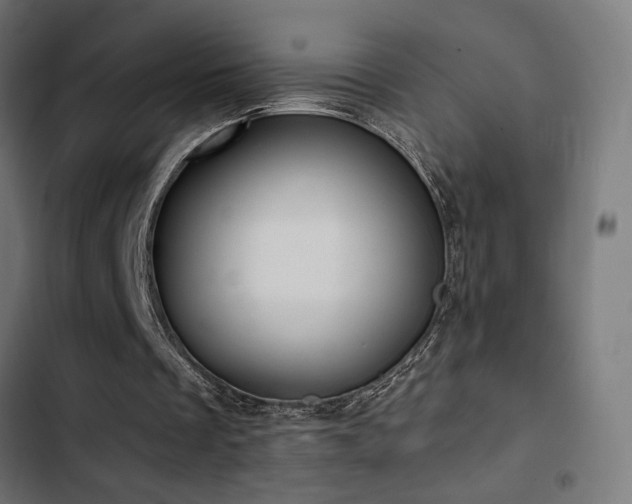 X0000103500289200809121746