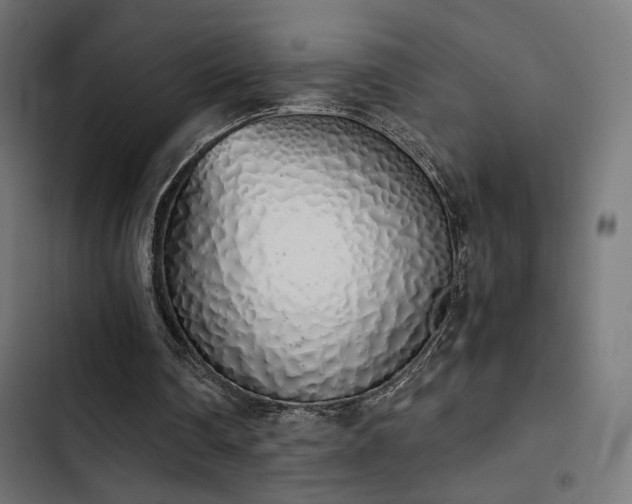 X0000103500290200809121746