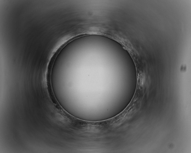 X0000103500292200809121746