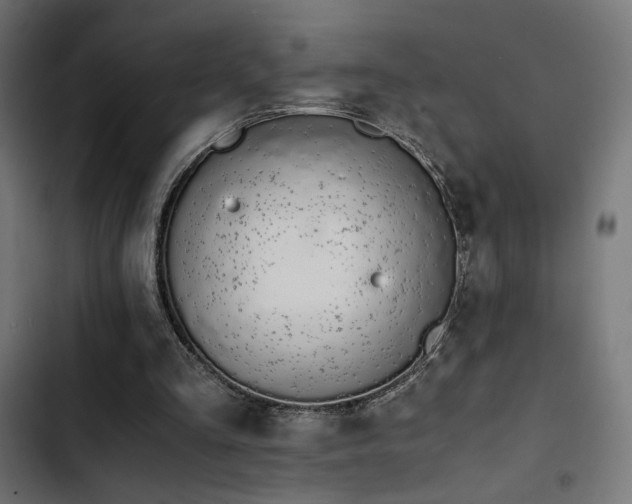 X0000103500293200809121746