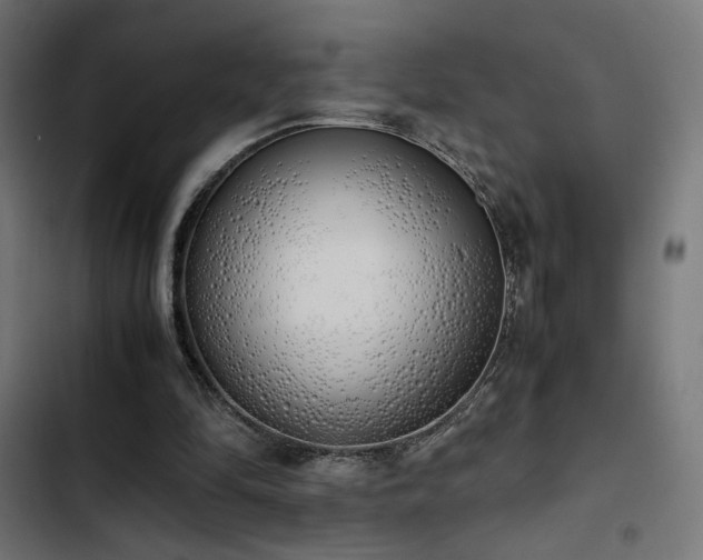 X0000103500294200809121746