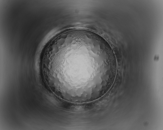 X0000103500295200809121746