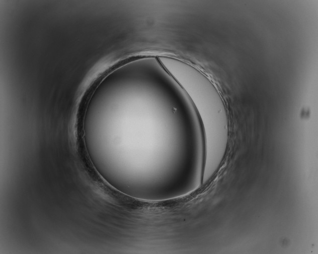 X0000103500296200809121746