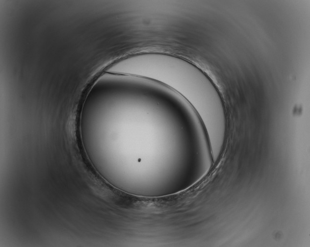 X0000103500297200809121746