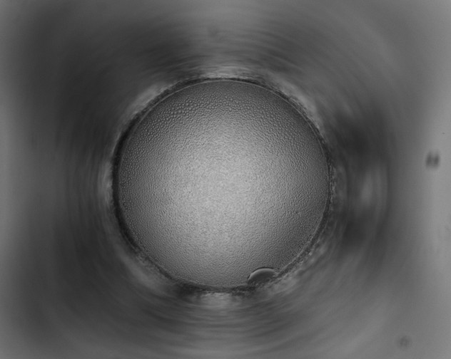 X0000103500298200809121746