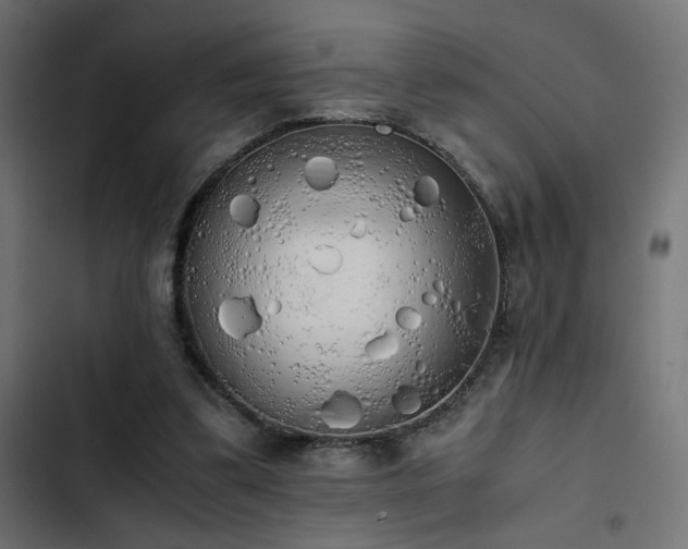 X0000103500299200809121746