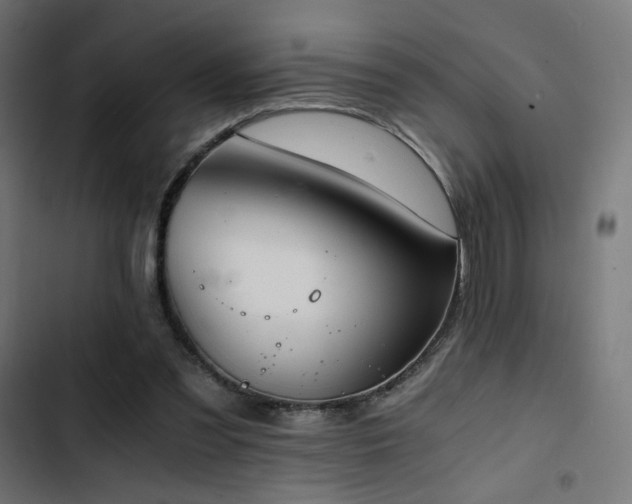 X0000103500301200809121746