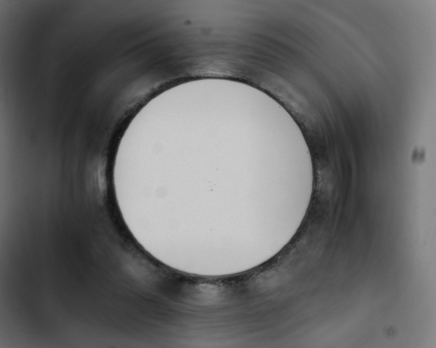 X0000103500302200809121746