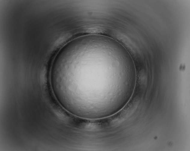 X0000103500303200809121746