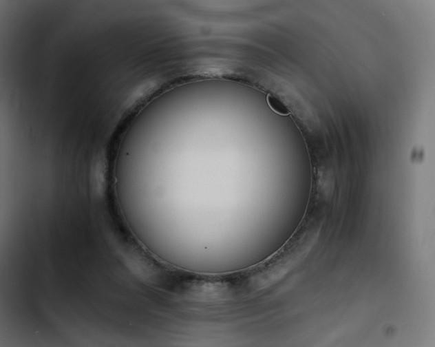 X0000103500304200809121746