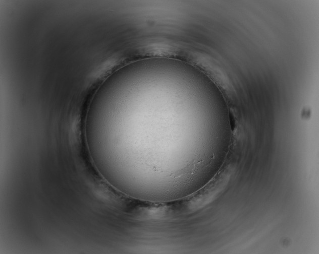 X0000103500306200809121746