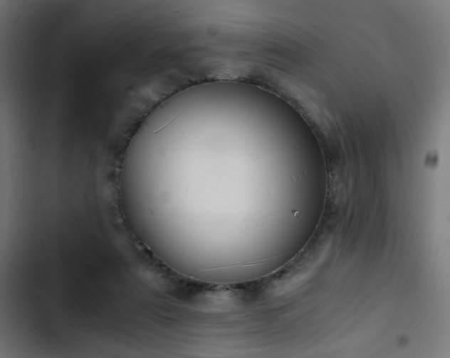 X0000103500307200809121746