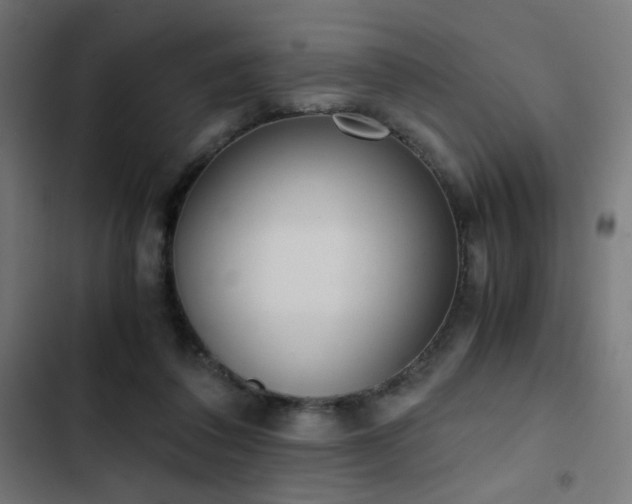 X0000103500308200809121746