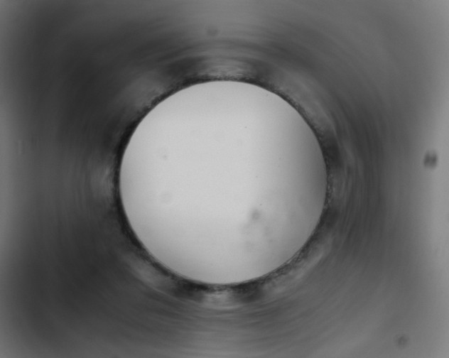 X0000103500309200809121746