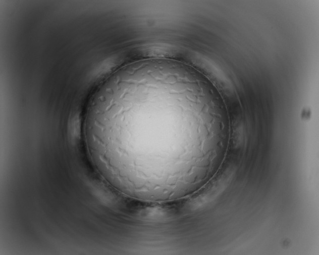 X0000103500310200809121746