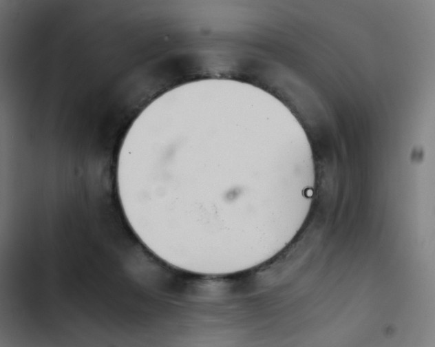 X0000103500313200809121746