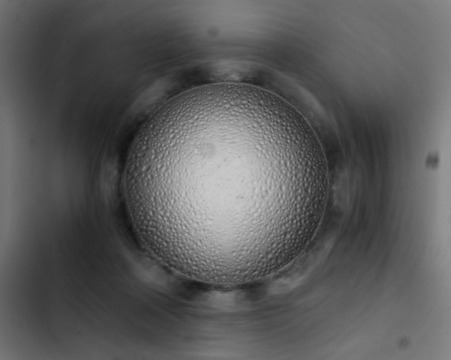 X0000103500314200809121746