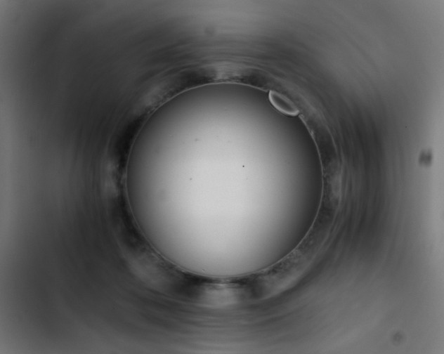 X0000103500316200809121746