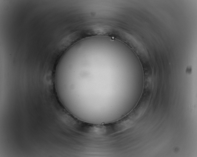 X0000103500317200809121746