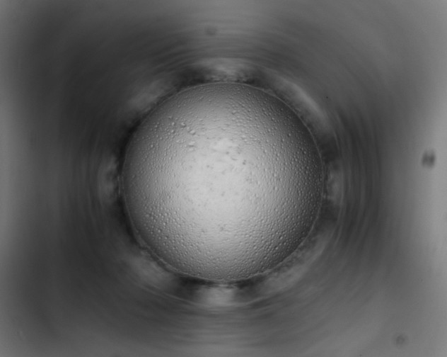 X0000103500318200809121746