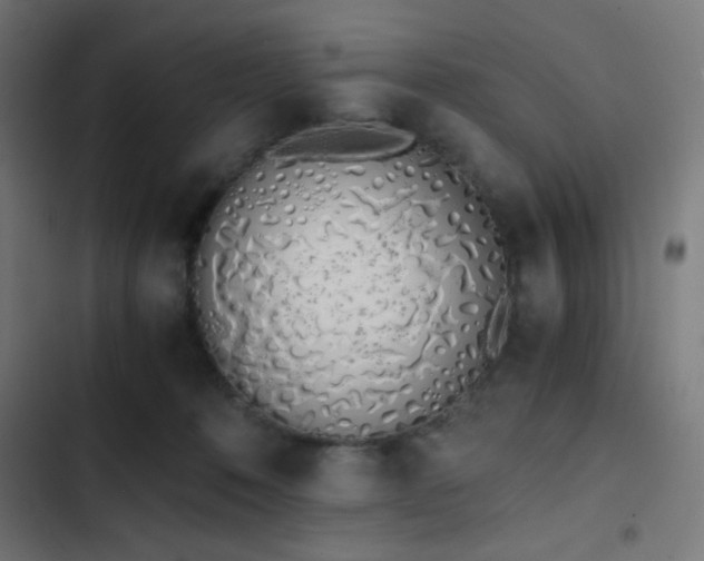 X0000103500320200809121746