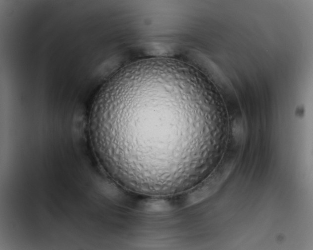 X0000103500322200809121746