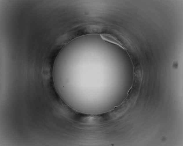 X0000103500323200809121746