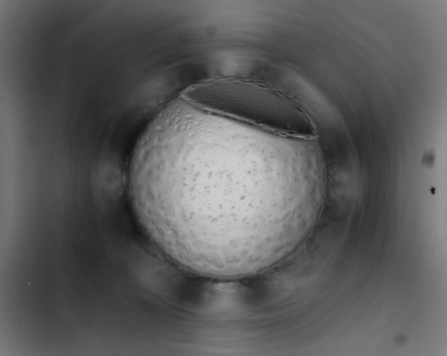 X0000103500324200809121746