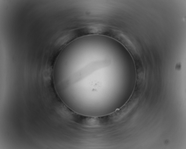 X0000103500325200809121746