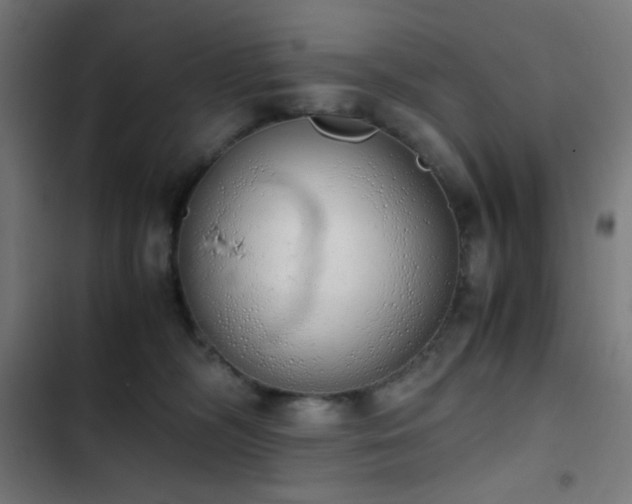 X0000103500326200809121746