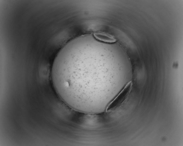 X0000103500328200809121746