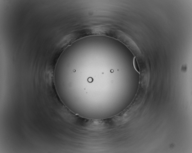 X0000103500329200809121746